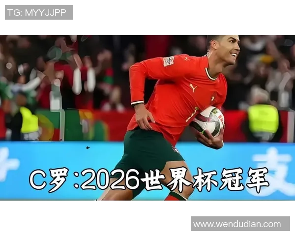 法国足球二号球星盘点 从大力神杯到欧冠舞台的传奇人物